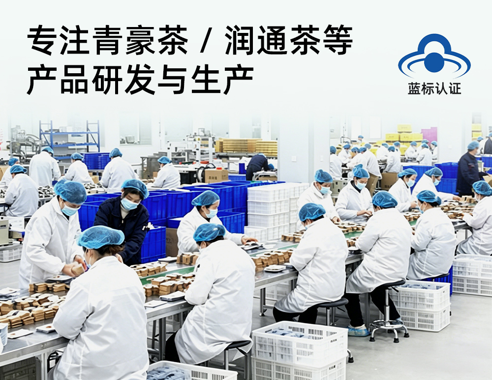 公司办公环境，现代化办公室，员工在讨论工作，绿色植物点缀其中，营造自然舒适的工作氛围